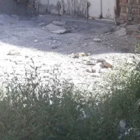 مشارکت در ساخت زمین چهاردیواری  بحر ۱۱
