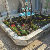 باغبانی و هرس کاری وکاشت ، سمپاشی در سراسر تهران|خدمات باغبانی و درختکاری|تهران, سید خندان (جلفا)|دیوار