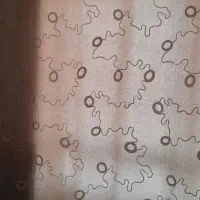 فروش پرده شیک و تمیز|پرده، رانر، رومیزی|بندر گناوه, |دیوار