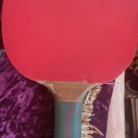 راکت پینگ پنگ دونیک۵۰۰۰ والندر لاین اصلی|تجهیزات ورزشی|مشهد, وکیل‌آباد|دیوار