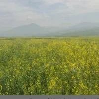 زمین-کشاورزی