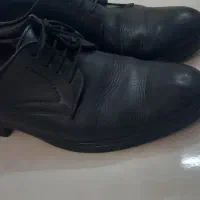 کفش چرم|کیف، کفش، کمربند|نهاوند, |دیوار