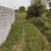 فروش زمین در جاده گهرباران ساری|فروش زمین و ملک کلنگی|طبقده, |دیوار