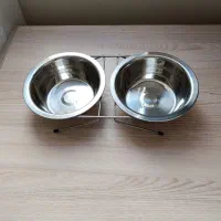 ظرف غذا و آبخوری و  قلاده سگ