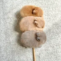 چشم آهویی مینیاتوری مینی لوپ فانتزی ریزه|موش و خرگوش|اصفهان, نقش جهان|دیوار