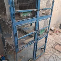 قفس جفتگاه