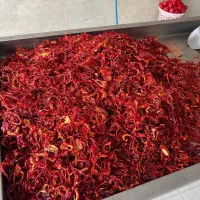 پابریکا اسلایس|خوردنی و آشامیدنی|تهران, آرژانتین|دیوار