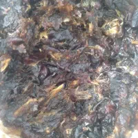 خرمای له بنکه‌ای برای برای شیرینی