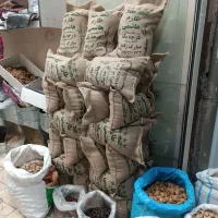 برنج طارم هاشمی