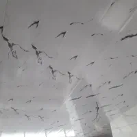 نصب کمپارس|خدمات پیشه و مهارت|بندر انزلی, کلیور|دیوار