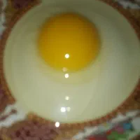 شونه ای ۲۷۰دونه۹ باپیک رایگان عکس وفیلم ملاحظه شود