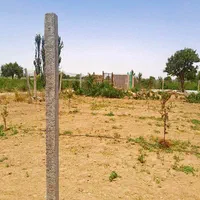 قطعه ۵۰۰ متری درخت فنس کشی شده|فروش دفتر صنعتی، کشاورزی، تجاری|کرج, جهان‌شهر|دیوار
