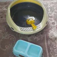 جای خاک گربه همراه با ظرفه آب و غذا