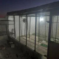 جوشکاری سیار|خدمات پیشه و مهارت|زابل, |دیوار