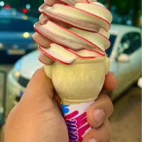 واگزاری امتیاز بستنی فروشی