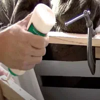 تعمیر مبل. وسایل چوبی(سیار)|خدمات پیشه و مهارت|آباده, |دیوار