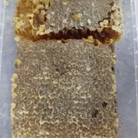 عسل سراب ۳۴۰