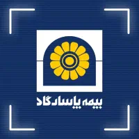 فرصت طلایی همکاری در بیمه پاسارگاد