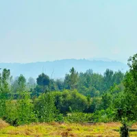 زمین ۳۶هزارمتری باکاربری آزاد.منطقه ییلاقی