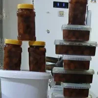 انجیر خشک و مربا انجیر عالی|خوردنی و آشامیدنی|فشاپویه, |دیوار