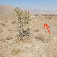 4750متر 400هکتاری برزک