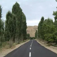 فروش-باغ-رودشیر-زارع