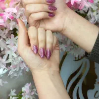 تخفیف ویژه شب یلدا شروع شود جا نمونید