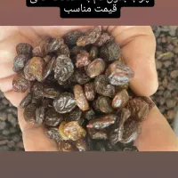 پخش کشمش تاکستان داریوش