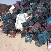 نیروی کار ساده