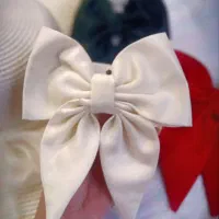 گلسر پاپیون فرانسوی|زیورآلات و اکسسوری|تهران, شهرک رضویه|دیوار