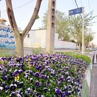 یک قطعه ۱۵۰۰ متری و دوقطعه ۱۰۰۰ متری ویلاشهر شکوفه|فروش زمین و ملک کلنگی|مشهد, وکیل‌آباد|دیوار