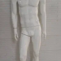 مانکن مردانه|فروشگاه و مغازه|کرمانشاه, |دیوار