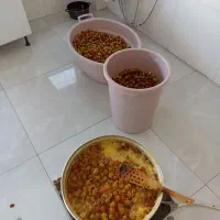 لواشک آلوچه گوجه سبز زردآلو هلو آلو گیلاس شلیل|خوردنی و آشامیدنی|تهران, شهرک فردوس (حسینی)|دیوار