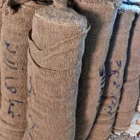 گونی کنفی