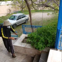 خدمات سمپاشی و باغبانی