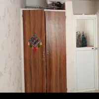مقداری چوب پاک چوب و یک درب کمد دیواری