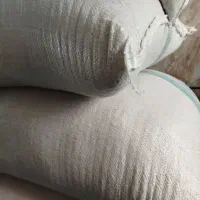 بذرشالی طارم هاشمی