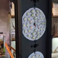 نور پلنت وپالاداریوم