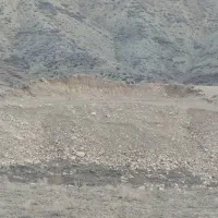 زمین-باغی