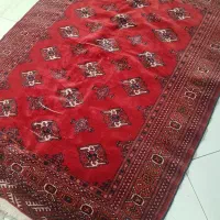 قالیچه دستبافت ترکمن|فرش|تهران, ستارخان|دیوار