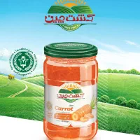 استخدام ویزیتور و پروموتر(پرومات)