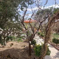 باغ ویلا ۱۱۲۷ متر شهرک خانه پرندک|فروش خانه و ویلا|رباطکریم, پرندک|دیوار