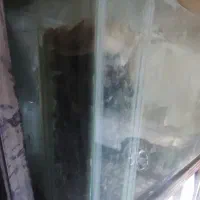 آکواریوم ۲۰۰×۶۰×۱۵۰|ماهی|خرمشهر, |دیوار