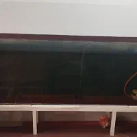 آکواریوم بزرگ
