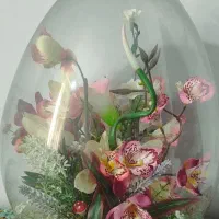 حباب گل