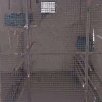 گنجه کبوتر|لوازم جانبی حیوانات|ری, حمزه‌آباد|دیوار