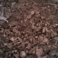 کود کبوتر خشک و مرتب