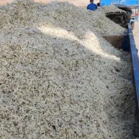 فروش تفاله2نم و خشک با ضمانت