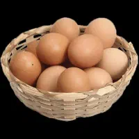 تخم مرغ محلی نژاد گلپایگانی