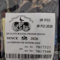 پلاک کبوتر ۲۰۲۶|لوازم جانبی حیوانات|فردوس (خراسان), |دیوار